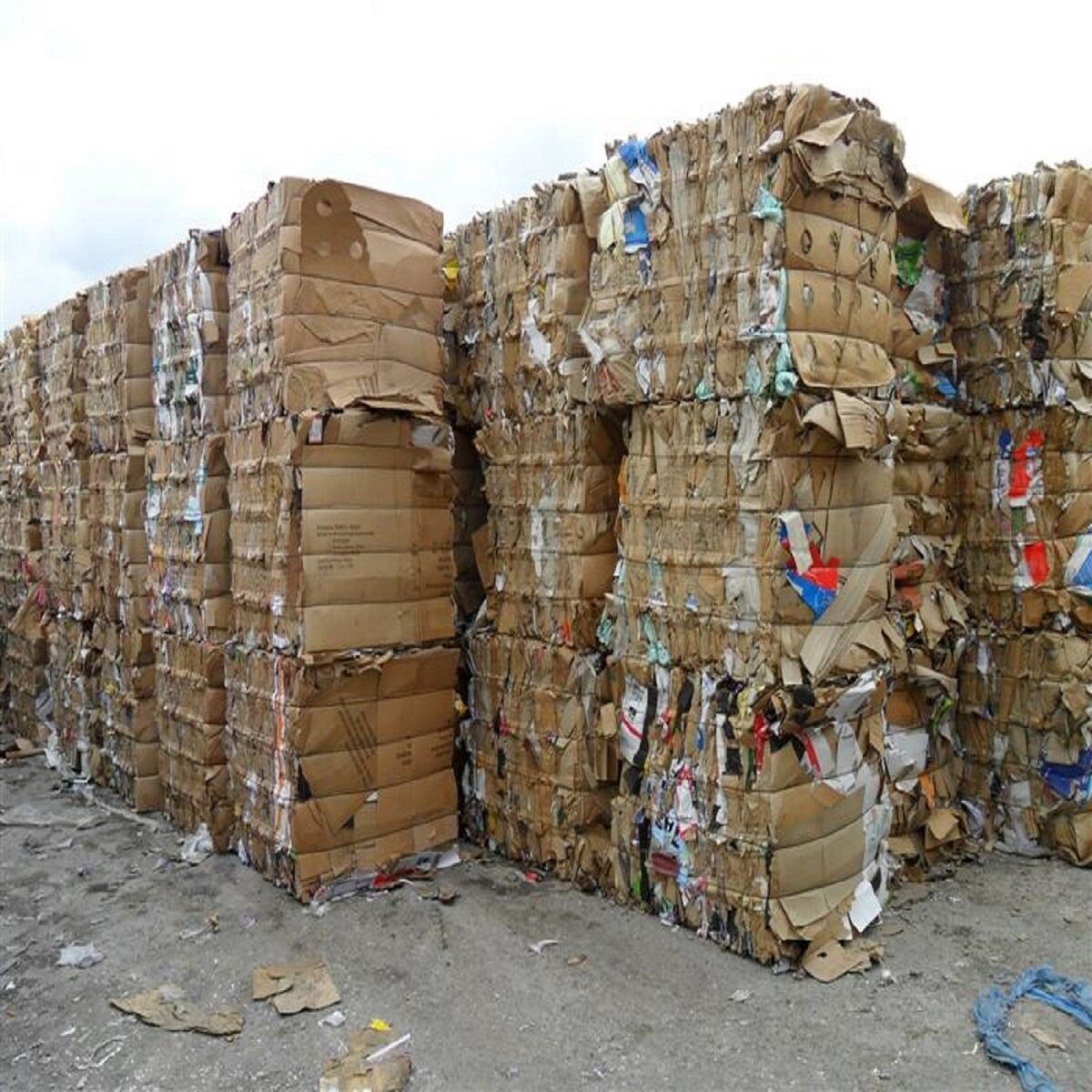 occ-waste-paper-occ-waste-paper